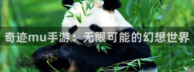 28大神苹果怎么下载：奇迹mu手游：无限可能的幻想世界