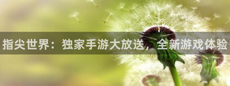 28大神开奖记录：指尖世界：独家手游大放送，全新游戏体验